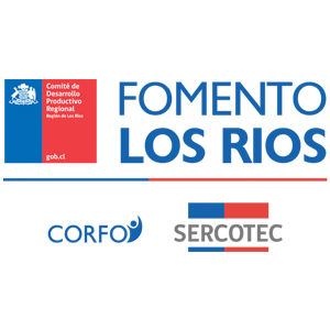 corfo
